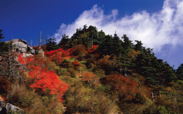 지리 중봉의 가을