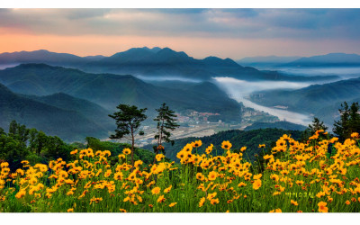 운해가