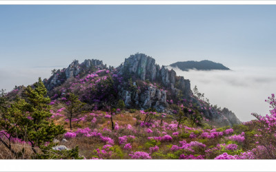 지나간 시간의