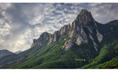 울산암