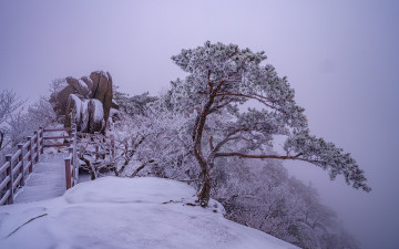 팔공산에도 첫눈이 내렸습니다.