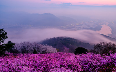 이거라도