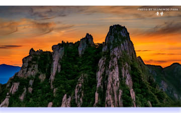 공룡의 노을 빛