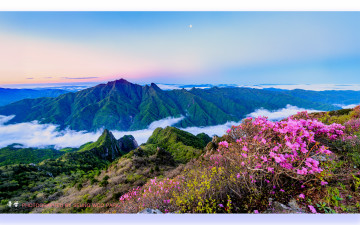 아름다운 날의 기억