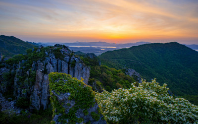 주작산의봄