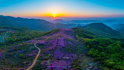황   매   산