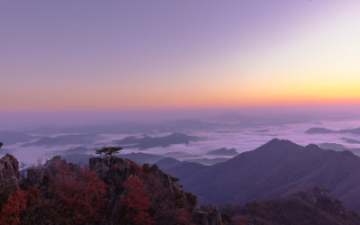 이영형-2