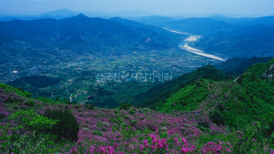 형제봉 철쭉 - 01